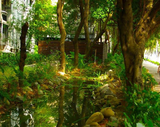 Dai Hoc Khoa Hoc Ky Thuat Quoc Lap Dai Bac
